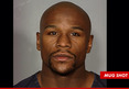 Floyd Mayweather Jr. -- The Mug Shot