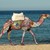 Commenter's Avatar
