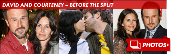 0612_david_courteney_footer