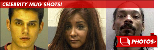 0615_celebrity_mug_shots_footer