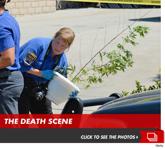 0618_rodney_king_death_scene_launch