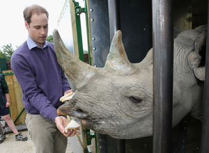 Prince William Goes Wild