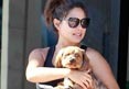 Vanessa Lachey -- Her Baby Bump Is for the Dogs