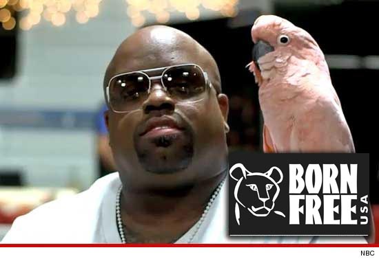 0625-cee-lo-3