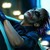 Commenter's Avatar