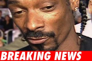 0410_snoop_bn-1