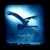 Commenter's Avatar