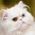 Commenter's Avatar