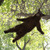 Commenter's Avatar