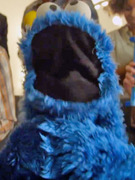Cookie Monster Spoofs Carly Rae Jepsen's "Call Me Maybe"