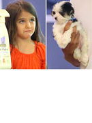 Suri Cruise Pouts Over Puppy!
