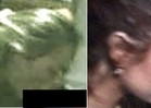 How Low Can LiLo's Ex Go? Sex Tape Scandal