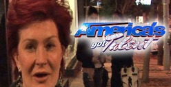 Sharon Osbourne -- I'm Quitting 'America's Got Talent'
