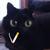 Commenter's Avatar