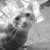 Commenter's Avatar