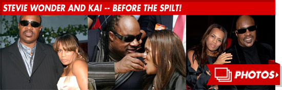 0803_stevie_wonder_footer_v2