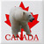 Commenter's Avatar