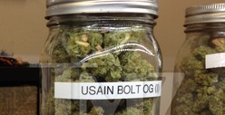 Usain Bolt -- Smoking the Competition ... in Cali Weed Shops