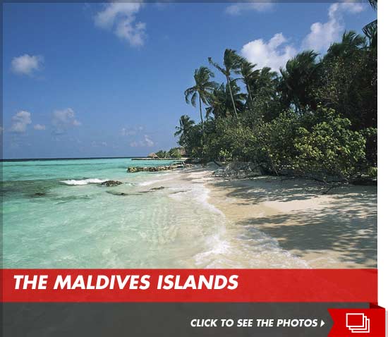 0808_maldives_islands_gallery_launch_2