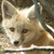 Commenter's Avatar