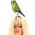 Commenter's Avatar