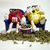 Commenter's Avatar