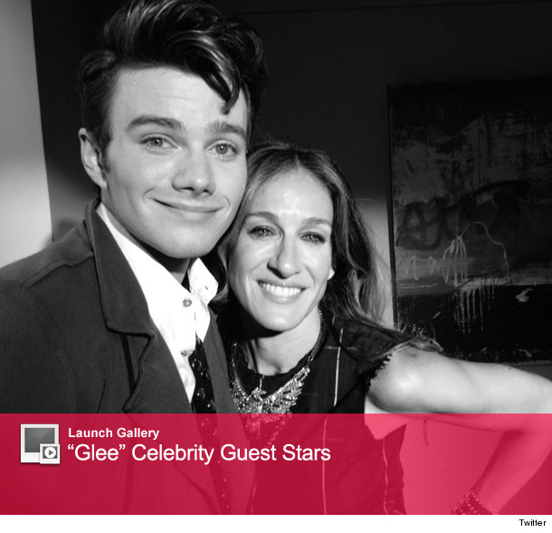 0821_glee_launch