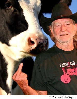 0326_nelson_cow-1