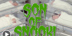 Snooki Gives Birth -- Ready for Baby #2?