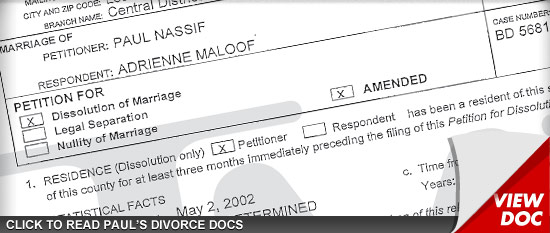 0828_paul_divorce_doc_sub_Asset