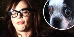 McGowan Makes Deposit to Pet Sematary