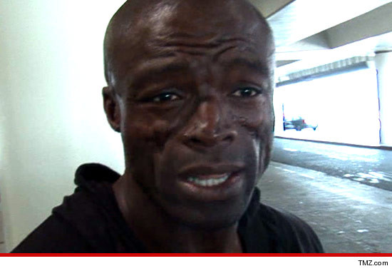 0905_seal_article_tmz