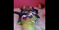 Snooki's Ex-BF Emilio Masella -- Her Baby Hijacked My Crocodile!