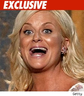 1025_poheler_getty-1
