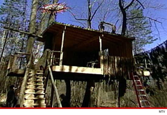 0917_tree_top_casino_MTV