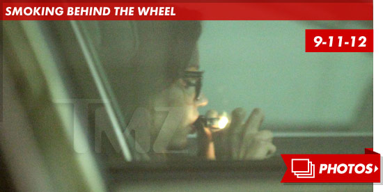 0919_amanda_bynes_wild_ride_footer_v2