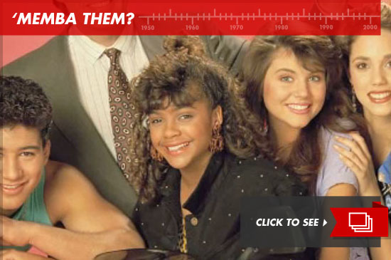 lisa-turtle