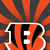 Commenter's Avatar