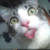 Commenter's Avatar