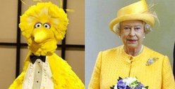 Celebrity Puppets -- Sesame Street Edition