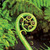 Commenter's Avatar