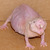Commenter's Avatar