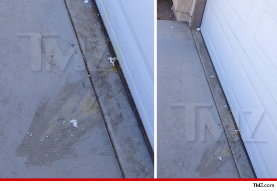 1015_octomom_egged_house_damage_launch_wm_sub_Asset