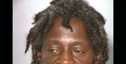 Flavor Flav -- Accused Of Double-Knife Rampage Before Arrest