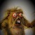 Commenter's Avatar