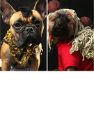 New York’s Cutest Pups Celebrate Halloween Early! 