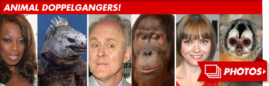 1026_celeb_doppelgangers_footer