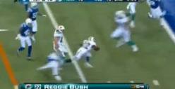 Terry Bradshaw -- Reggie Bush "Chasing Bucket of Chicken" Adlib ... REALLY Bad Inside Joke