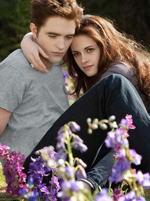 "Twilight: Breaking Dawn 2" Brings in Overnight Box Office