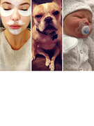 This Week's Best Celebrity TwitPics!